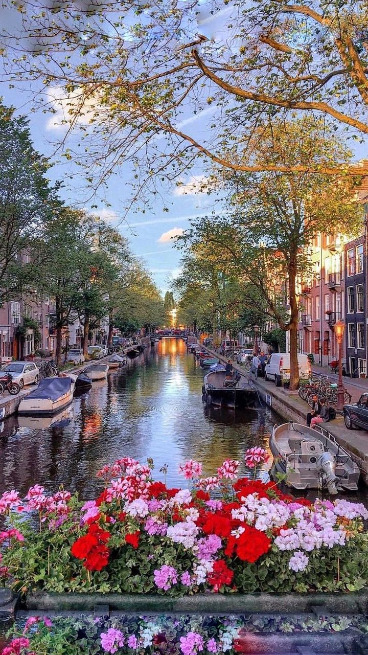 Amsterdam'a bir bakış